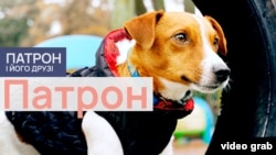 Патрон Патрон